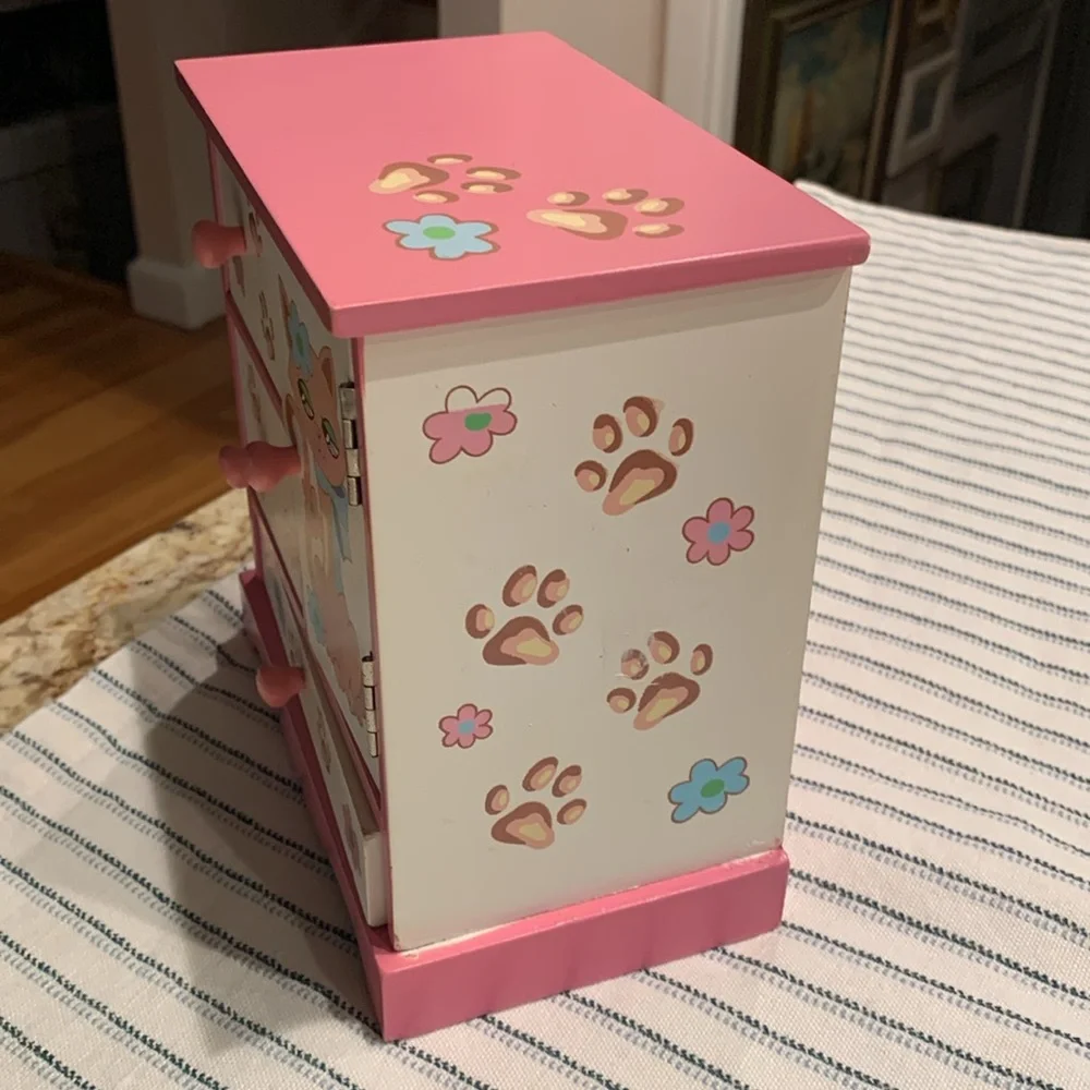 Pink Cat design Jewelry Box
